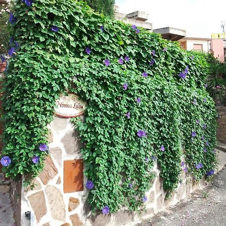 B&B Nonna Luisa Tarquinia Exterior foto